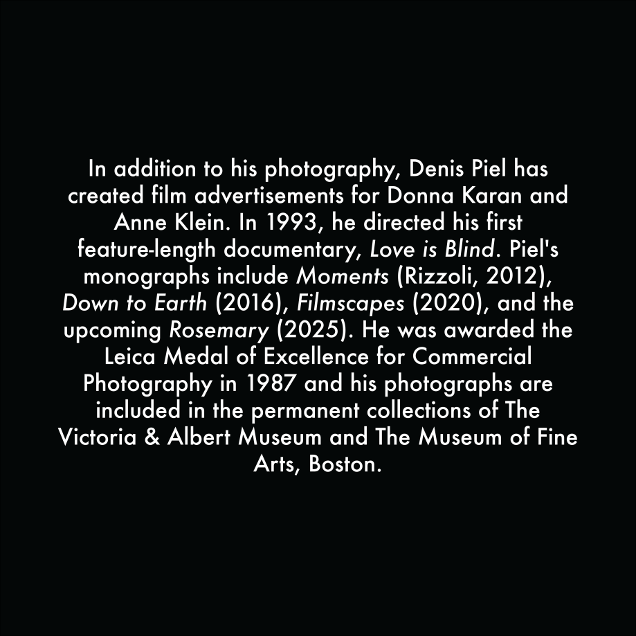 Denis Piel
