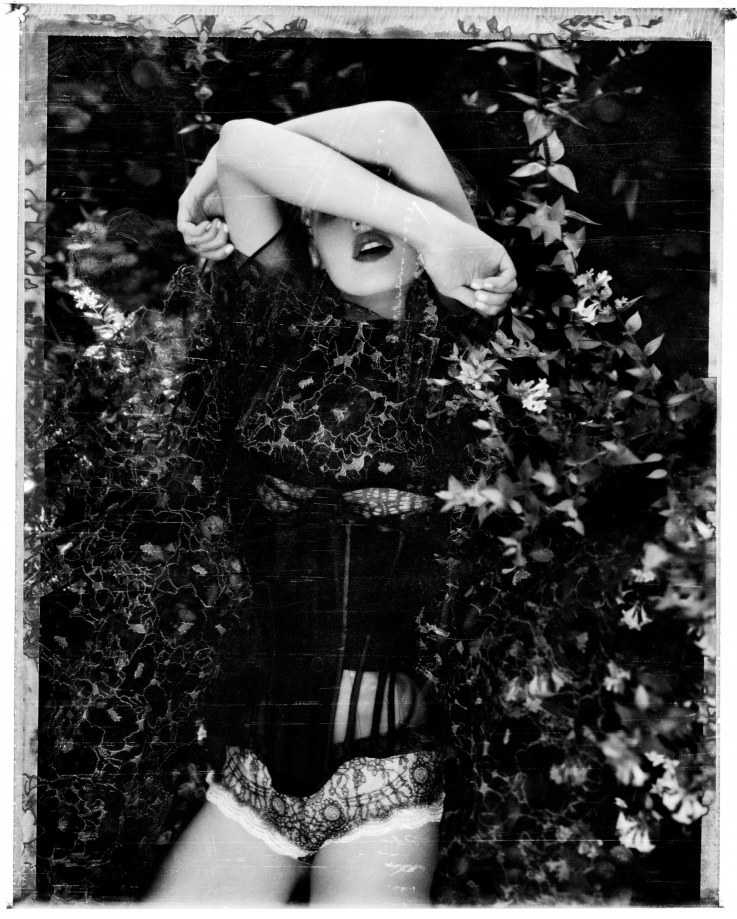 Ellen von Unwerth, Hide, 2012