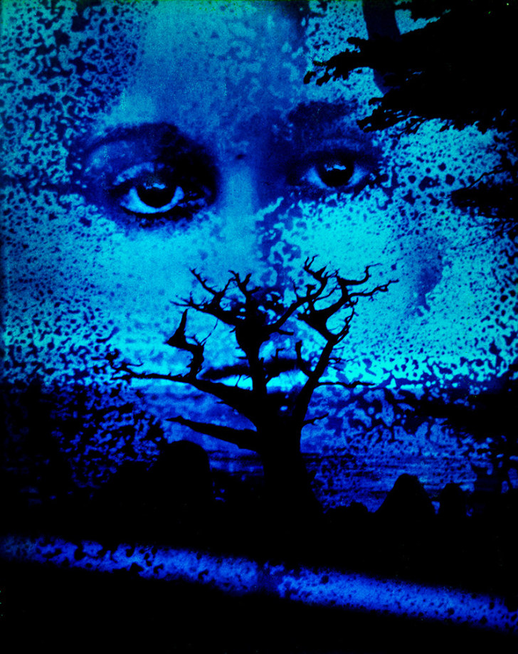 Kali, Blue Cypress, Carmel, CA, 1969