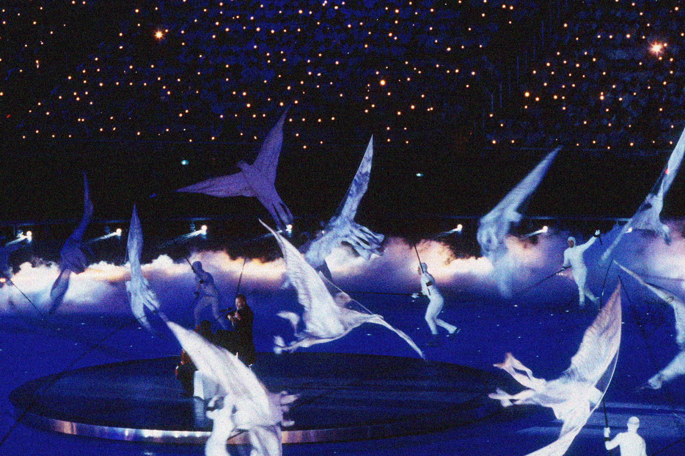 Sheila Metzner, From Life, Sting, Yo-Yo Ma and Doves of Peace