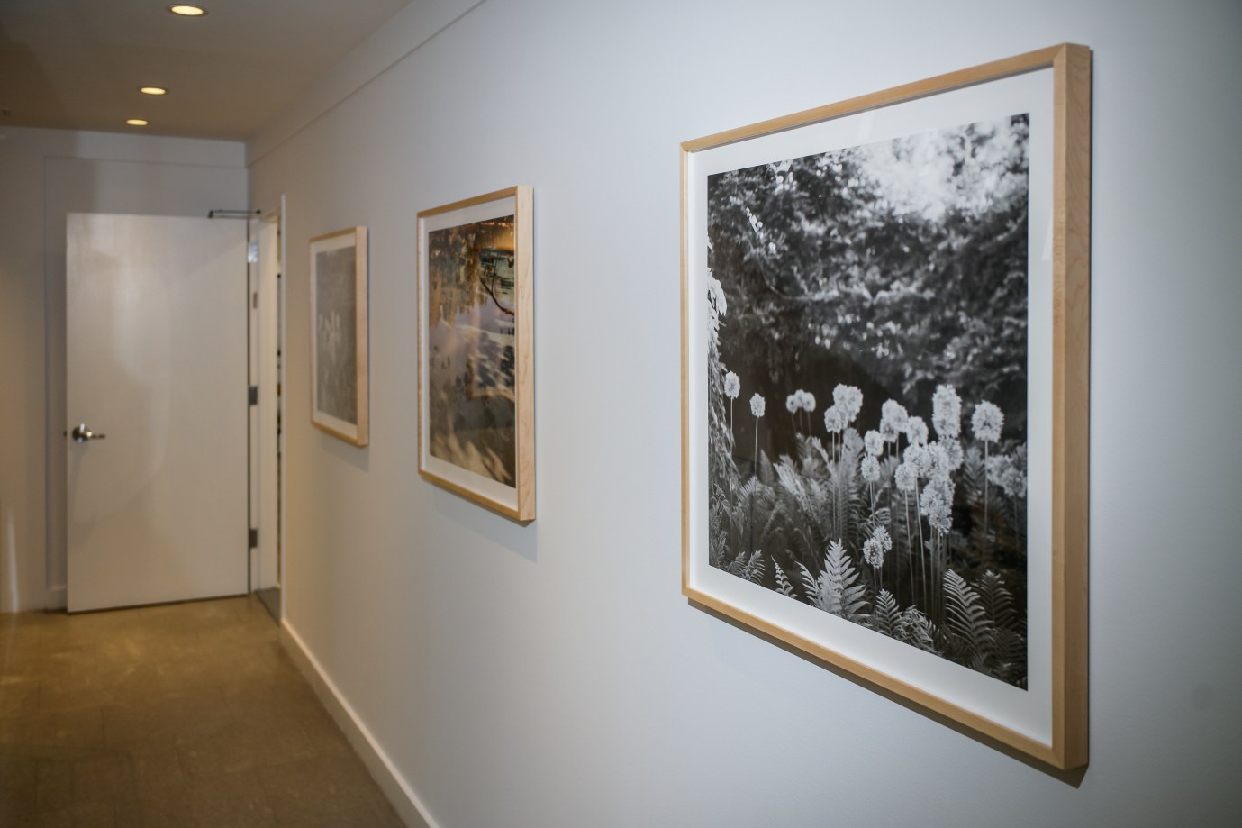 Sophie Elgort X ADEAM, Installation View