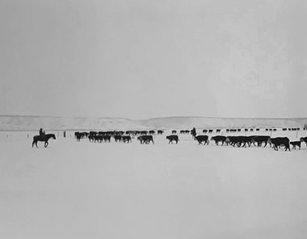 Kurt Markus, YP Ranch, Tuscarora, Nevada, 1981