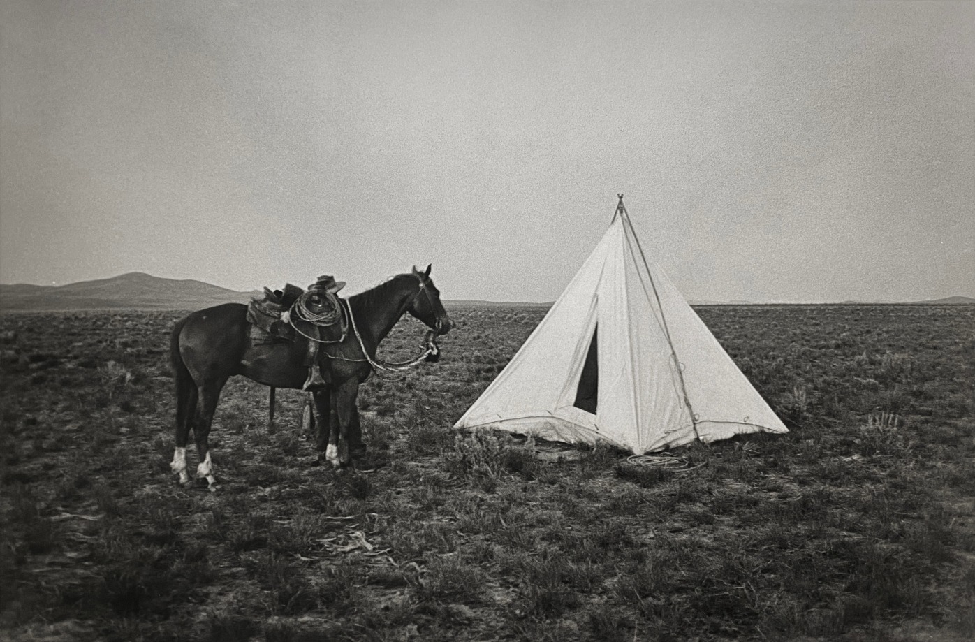 Kurt Markus, Il Ranch, Nevada, 1980