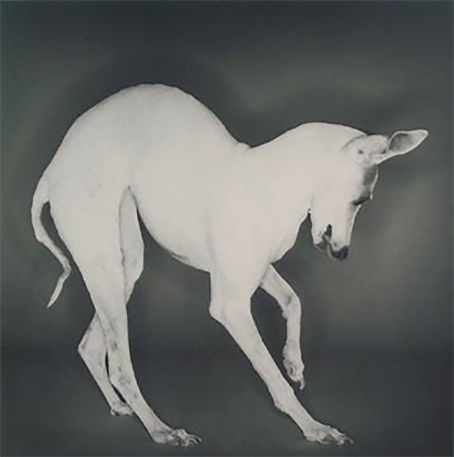 Deborah Samuel, Stacie