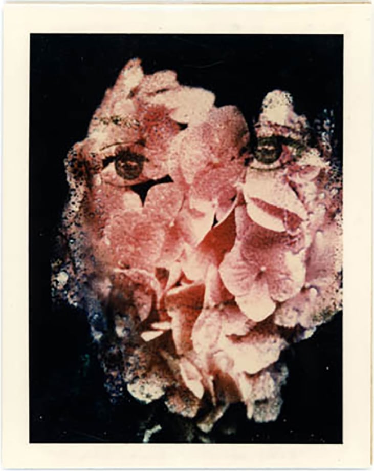 Kali, Mary 100 Ways, Flower Power, Palm Springs, CA, 1970