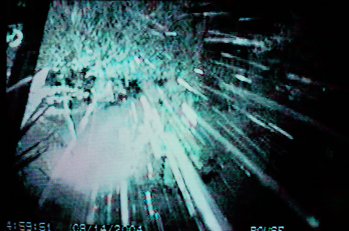 Kali, Blue Jet Exhausts, Pacific Palisades, CA, 2004