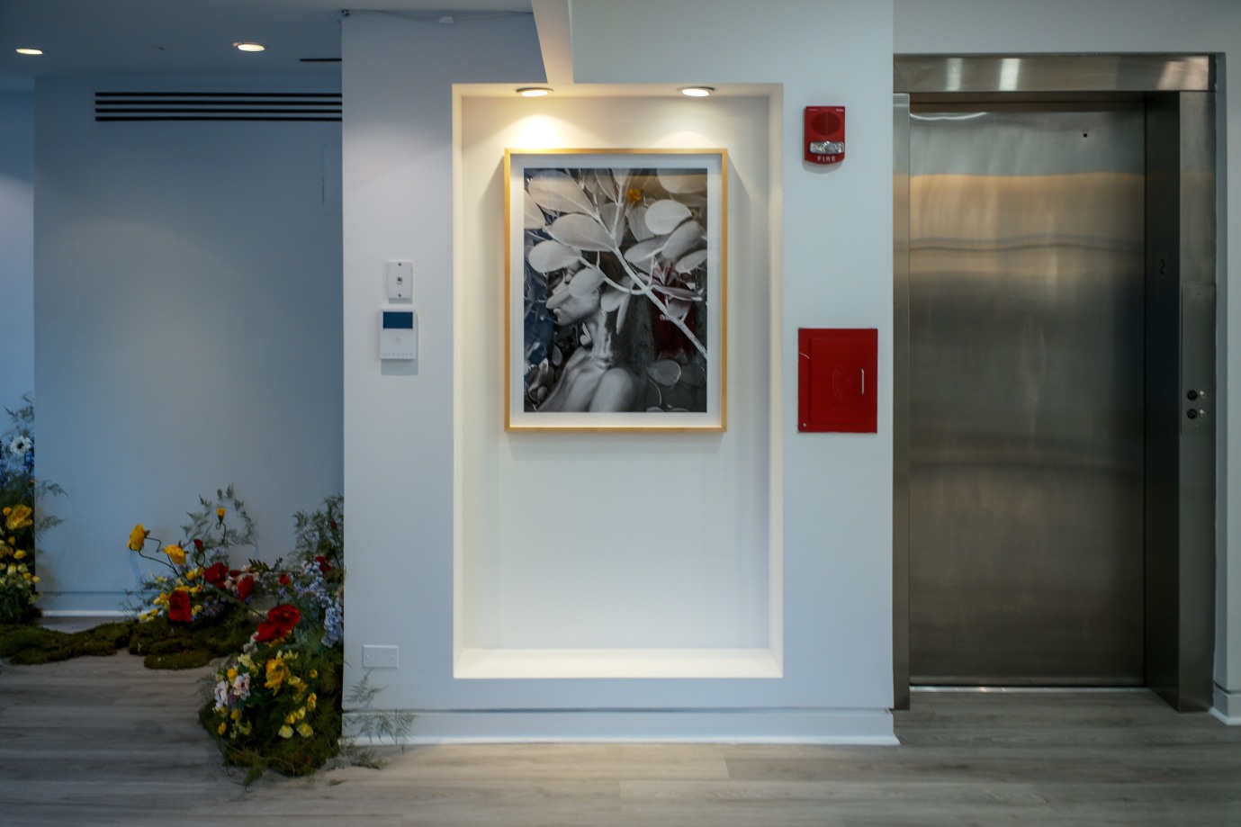 Sophie Elgort X ADEAM, Installation View