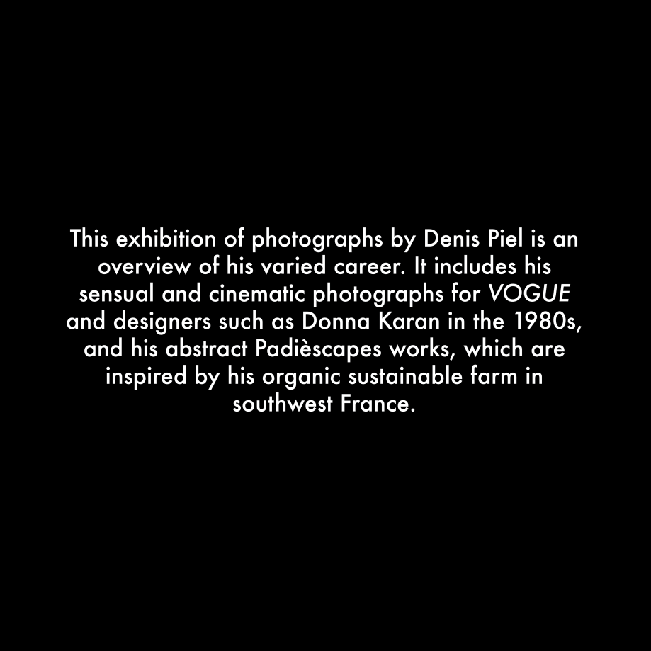 Denis Piel