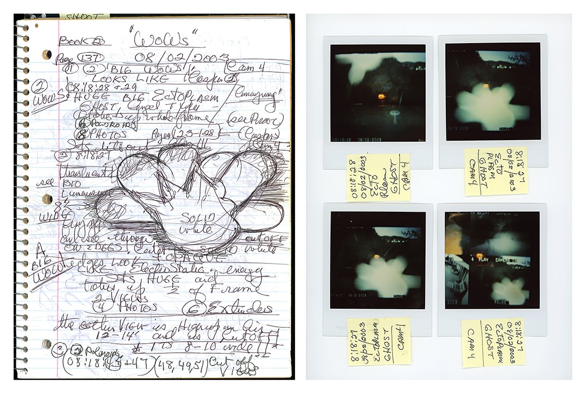 Kali, Ectoplasm Ghost Diptych