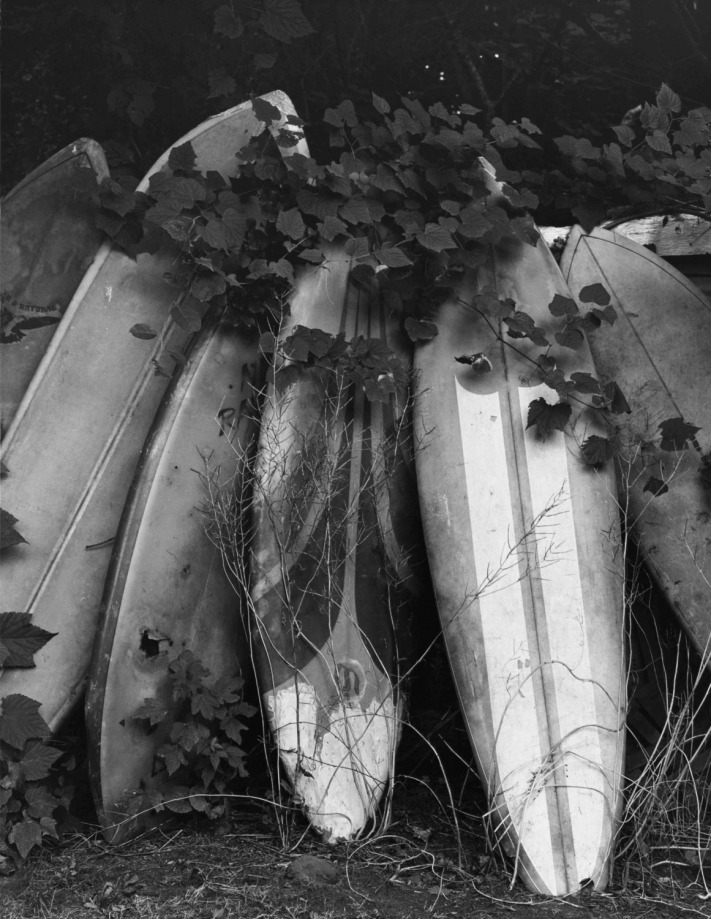 Michael Dweck, Old Boards in Tony's Backyard, Montauk, 2002