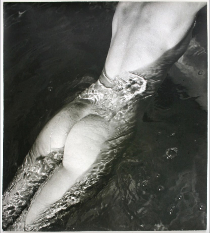 Louise Dahl-Wolfe, Nude in Pool