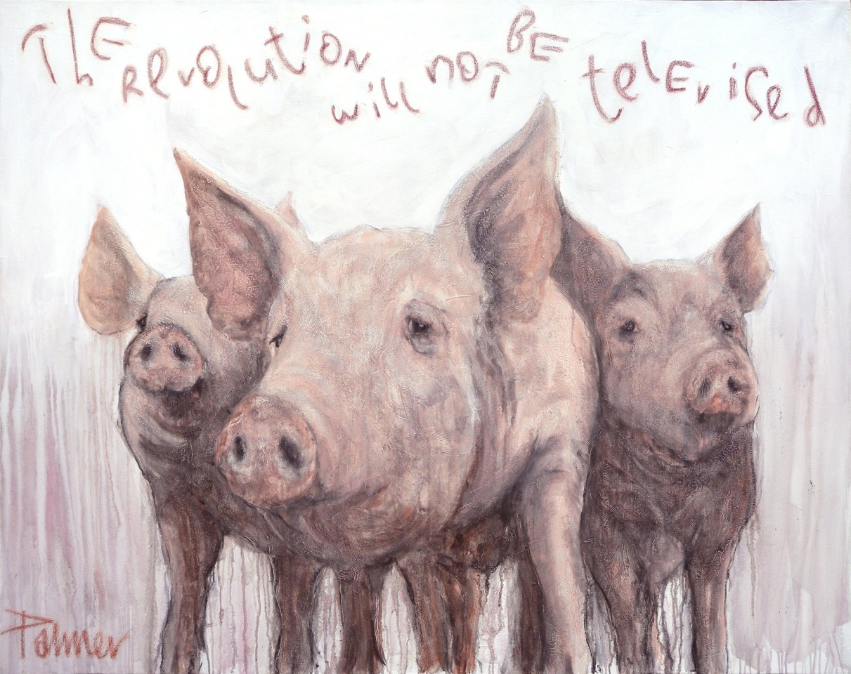 Christian Palmer_The Revolution will not be Televised