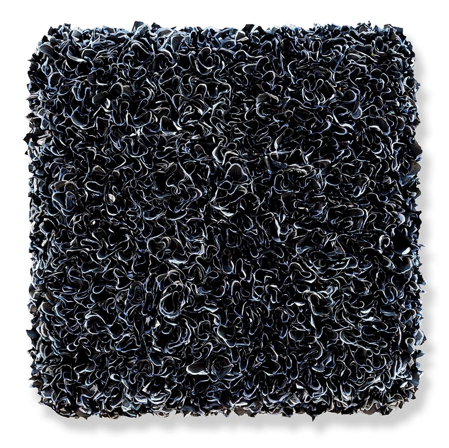 Zhuang Yong Hi_Flower Field