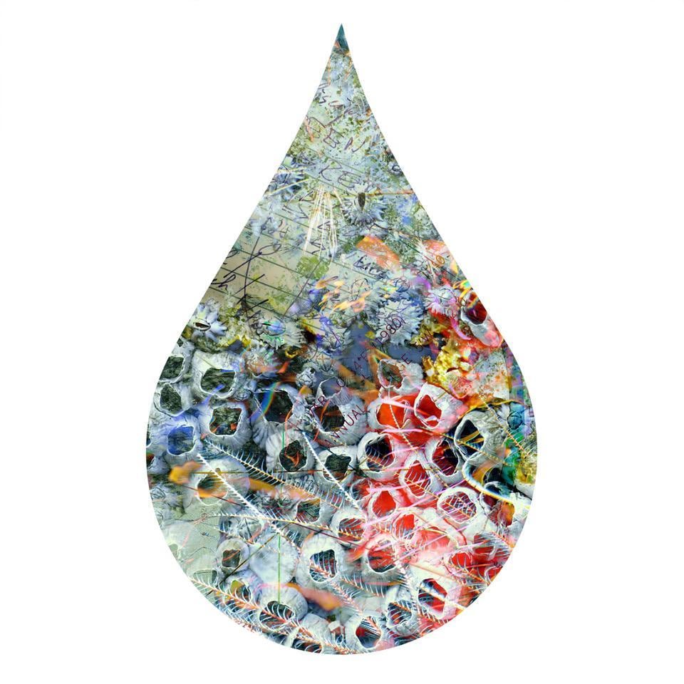 cc51, chromogenic print mounted to plexiglass, 12 x 8 inches