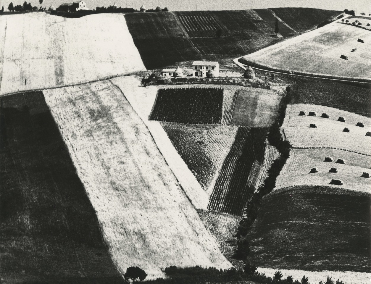 Stories of the Land/Storie di terra, 1955