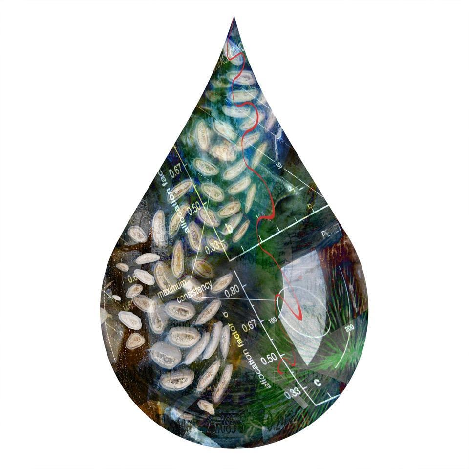 cc41, chromogenic print mounted to plexiglass, 16 x 11 inches