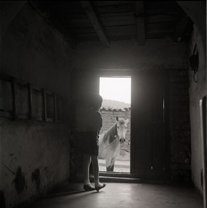 Debbie Fleming Caffery