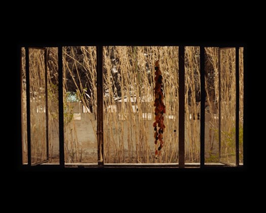 1511 Kit Carson Avenue, Albuquerque, NM, 1981