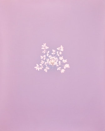 Tracing Shadows #96, 2013