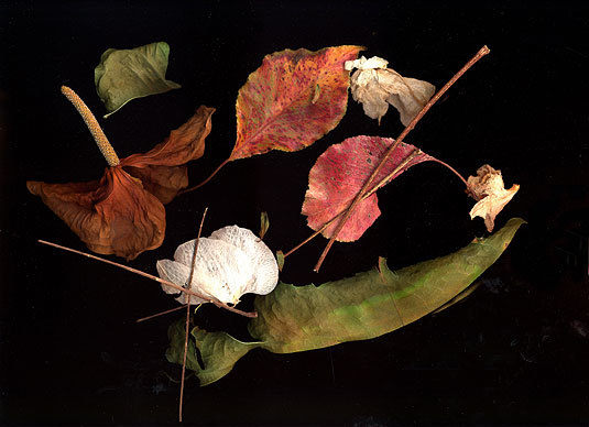 Untitled, giclée print