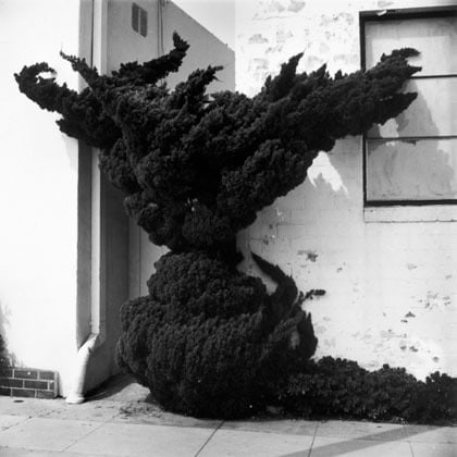 Philip Melnick Ocean Park, CA