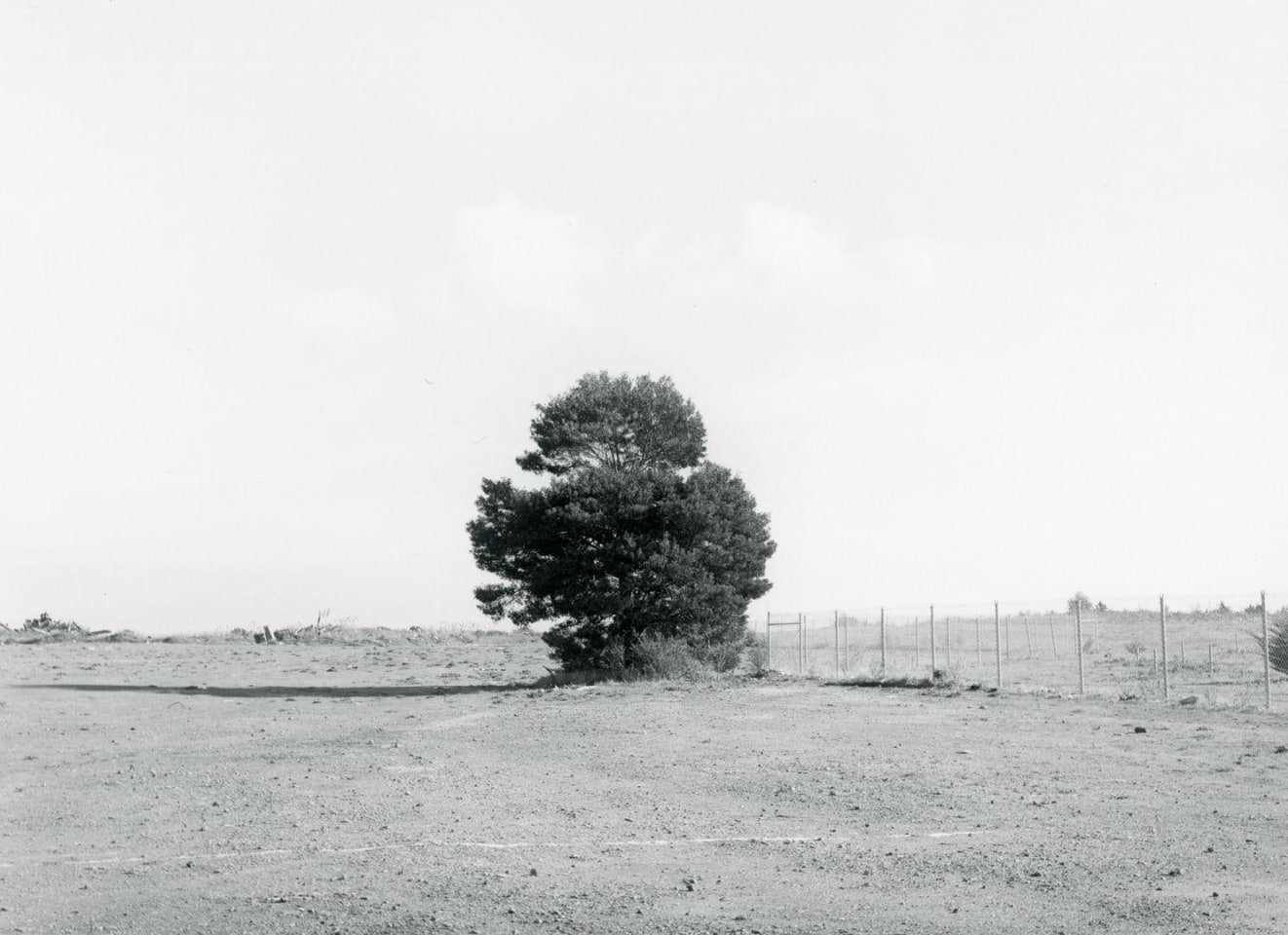 Lewis Baltz #59 from Candlestick Point