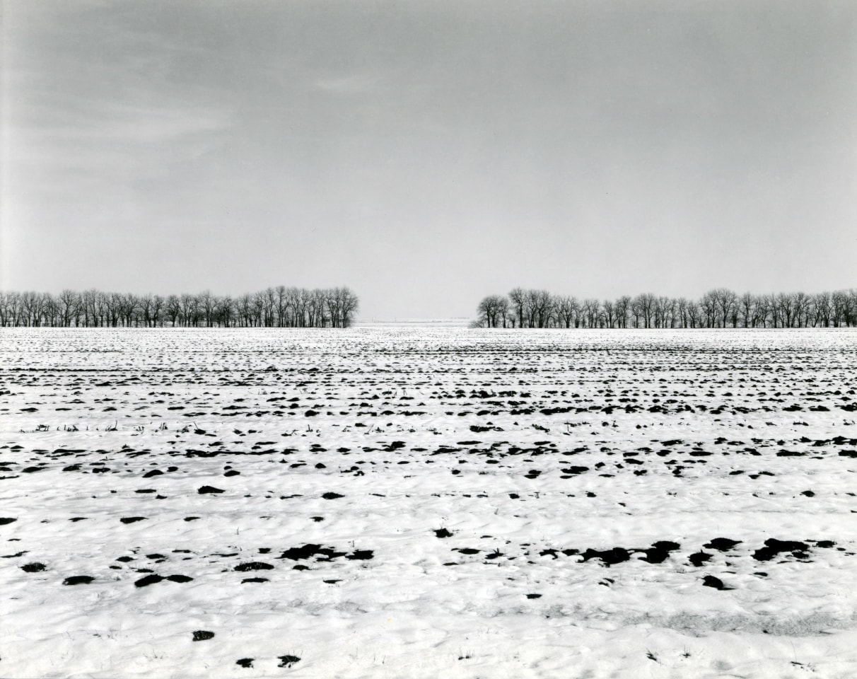 Untitled, from Illinois Landscapes, 1981, gelatin silver contact print, 8 x 10 inches