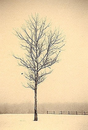Paul Kozal, Palo III, 1995, sepia toned gelatin silver print, 8 x 10 inches