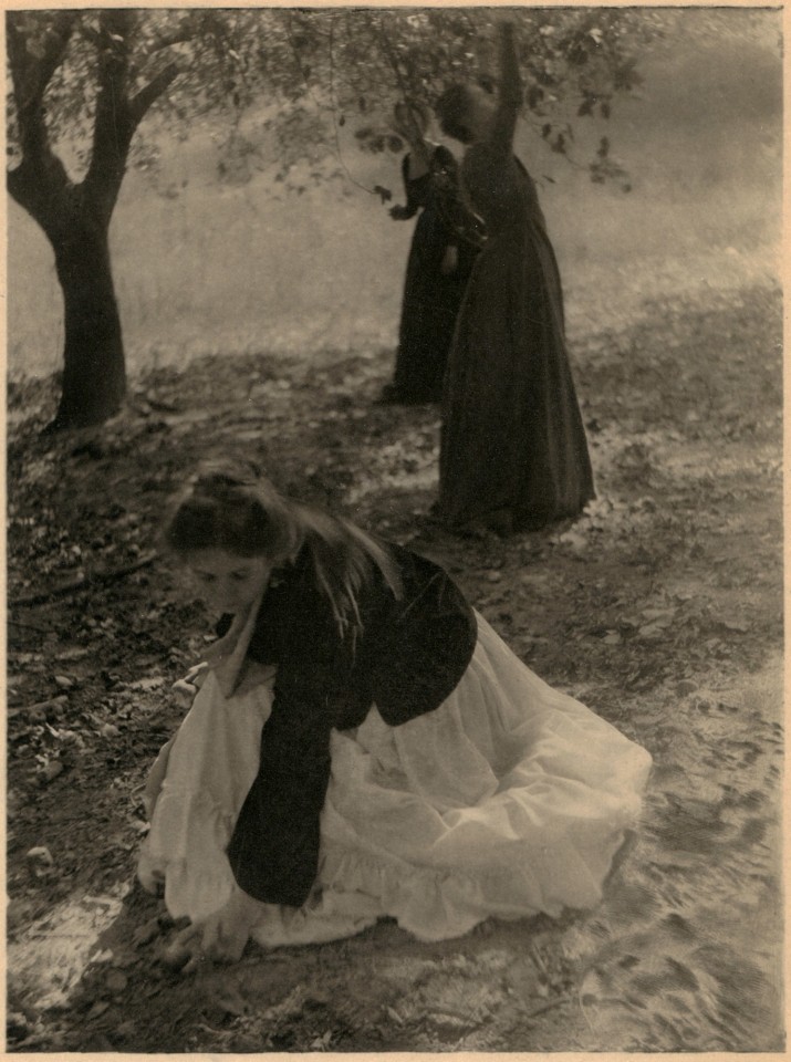 Clarence H. White, The Orchard