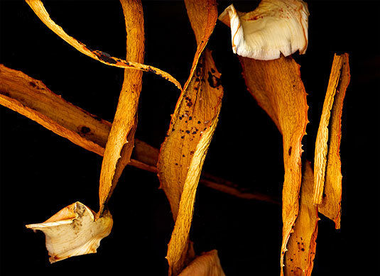 Untitled, giclée print