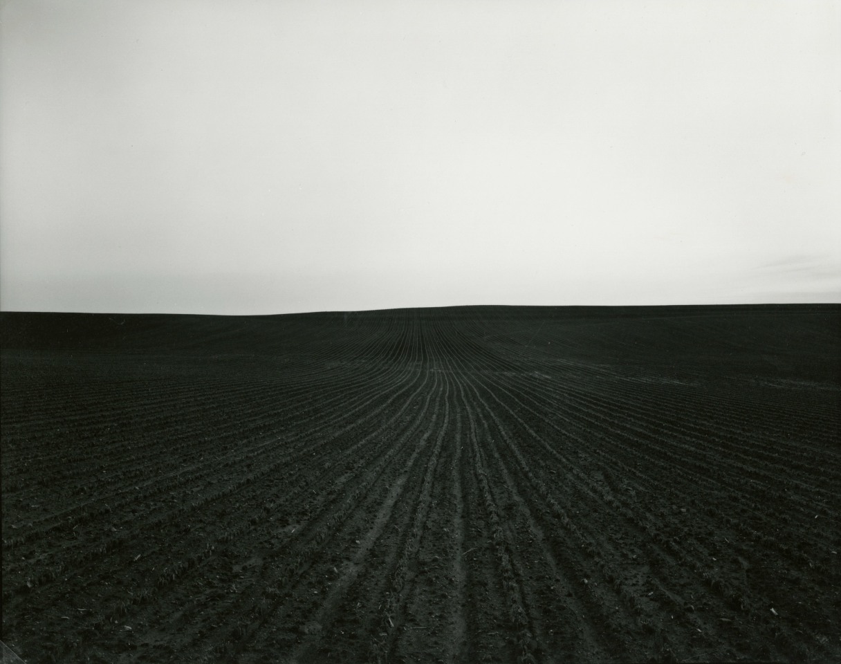 Untitled, from Illinois Landscapes, 1982, gelatin silver contact print, 8 x 10 inches