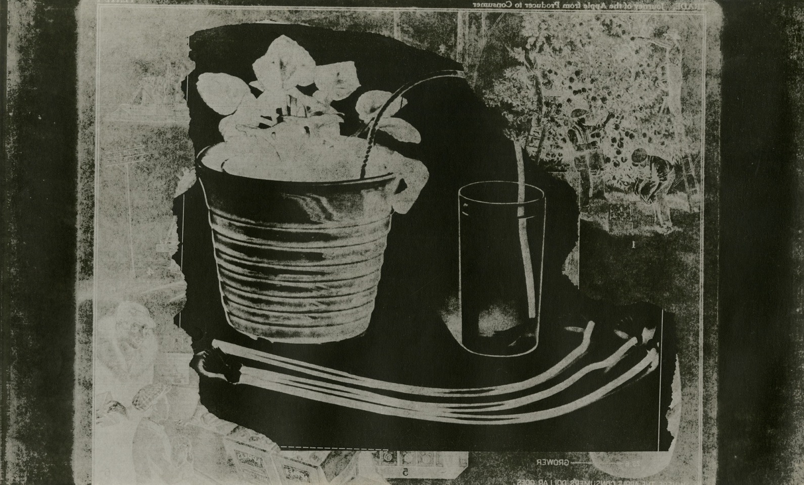 untitled, from Triva 2, 1973