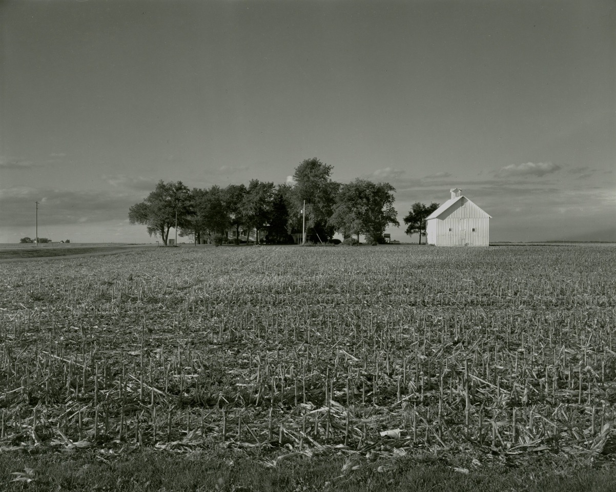 Untitled, from Farm Landscapes, 2010, gelatin silver contact print, 8 x 10 inches