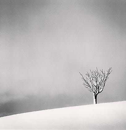 Snowfall, Numakawa, Hokkaido, Japan, 2004