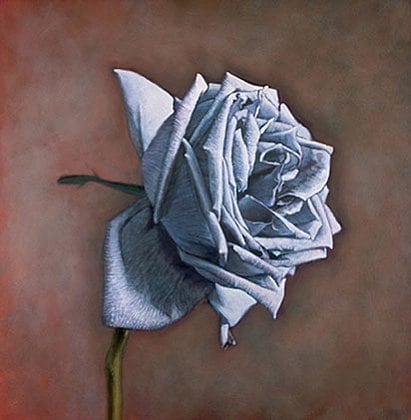 Sterling Silver Rose, hand-colored gelatin silver print, 32 x 32 inches