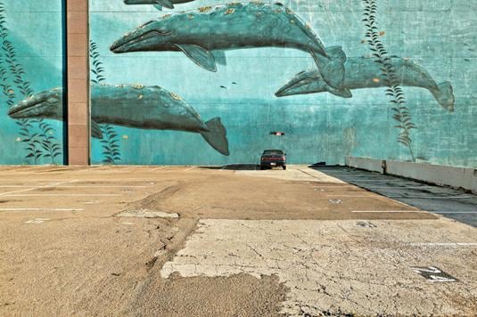 Car And Whales, San Diego, California, 2004