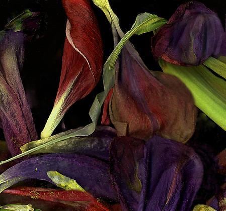 Untitled, giclée print