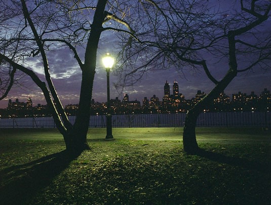 Orchard Trees, Central Park