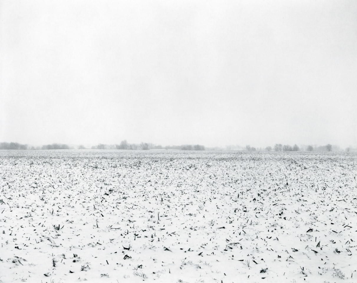 Untitled, from Illinois Landscapes, 2014, gelatin silver contact print, 8 x 10 inches