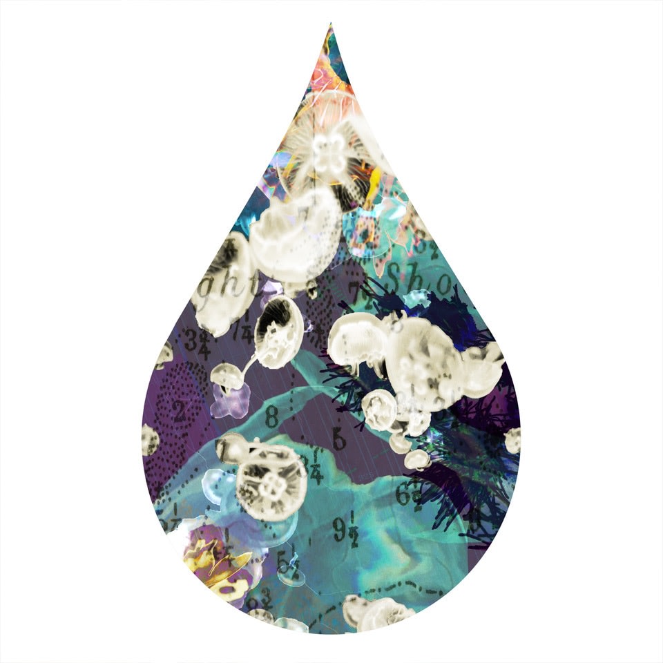 cc48, chromogenic print mounted to plexiglass, 10 x 6 inches