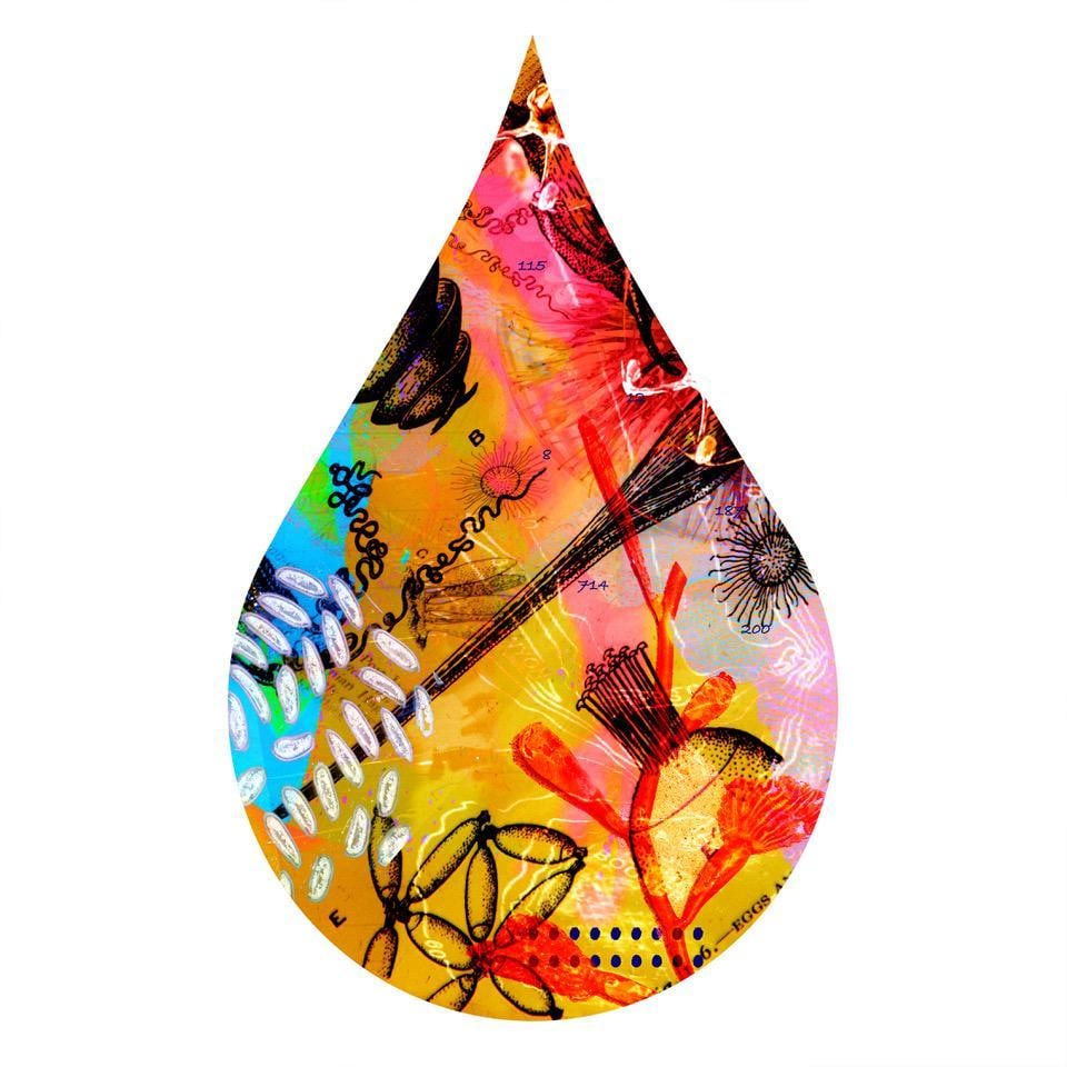 cc55, chromogenic print mounted to plexiglass, 10 x 6 inches