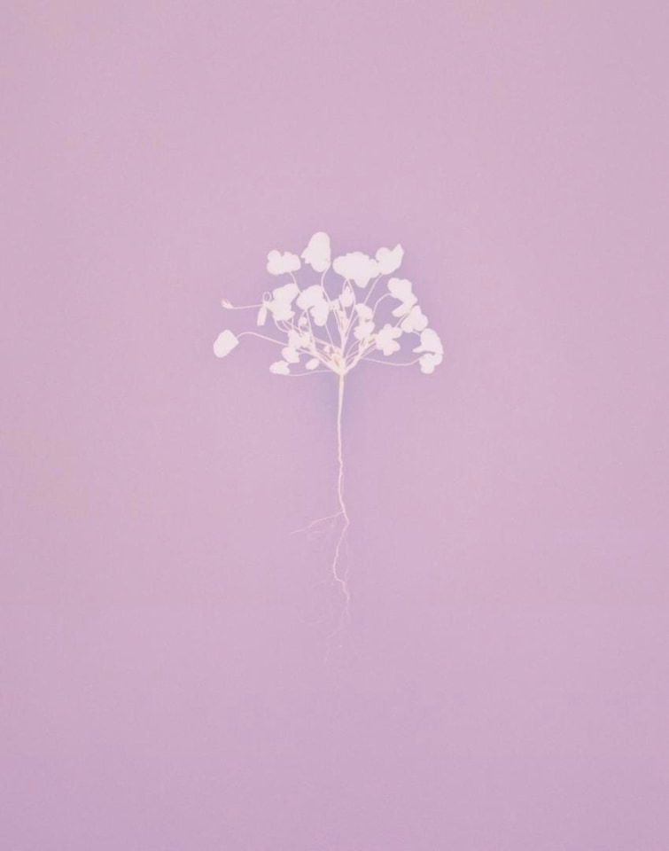 Han Nguyen Tracing Shadows #28