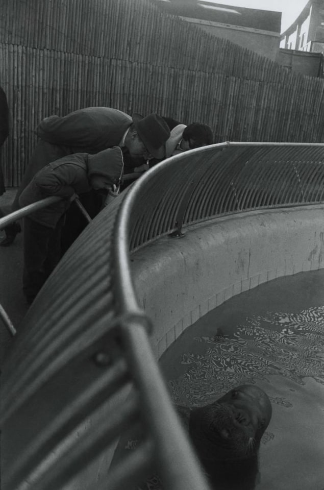 Garry Winogrand New York City
