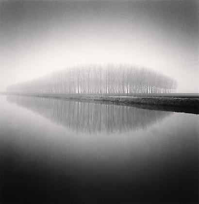 Copse Reflection, Vendramin, Veneto, Italy, 2007