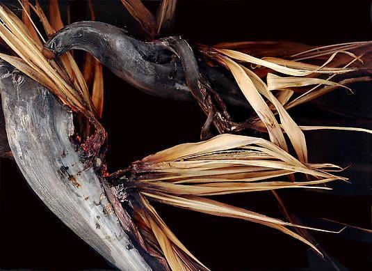 Untitled, giclée print