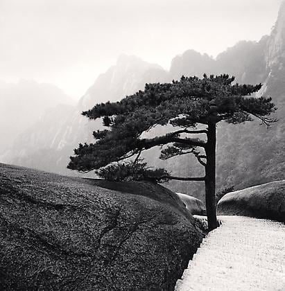 Huangshan Mountains, Study 18, Anhui, China, 2009