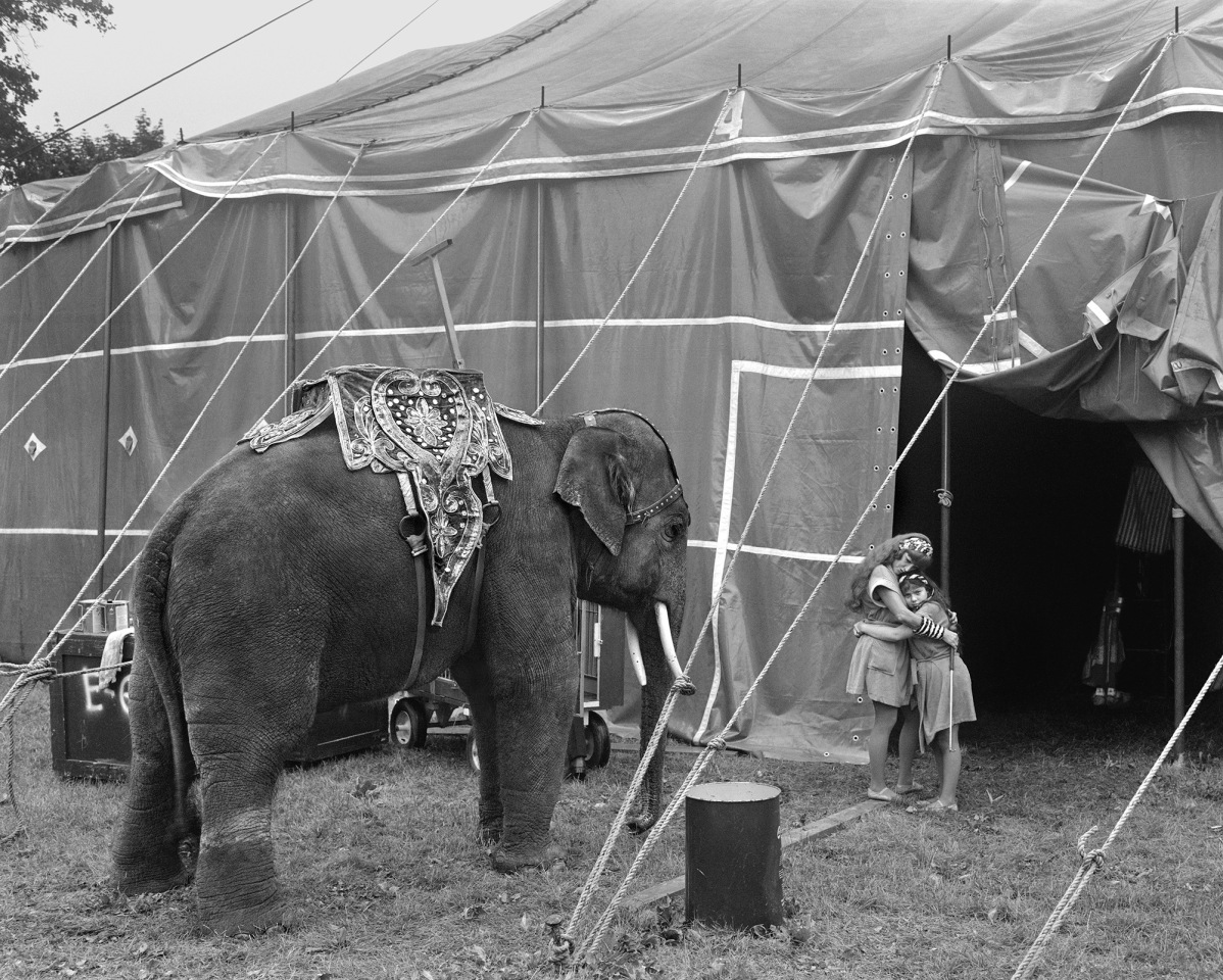 Mother and Daughter with Elephant, 1983-84