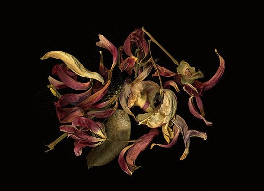 Untitled, giclée print