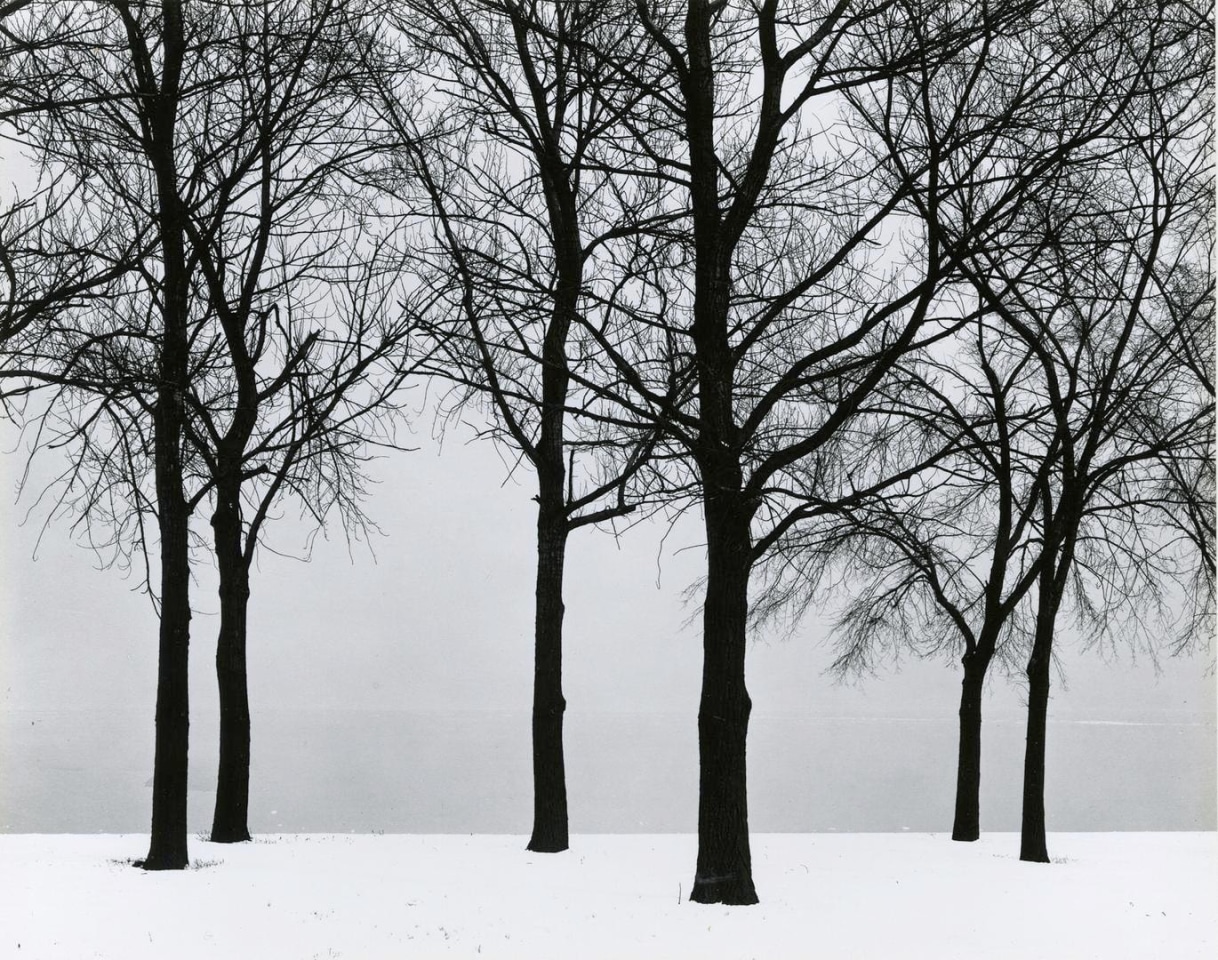 Harry Callahan Chicago
