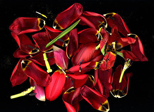 Untitled, giclée print